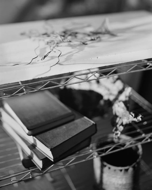 William Wylie Witness Marks, 2017