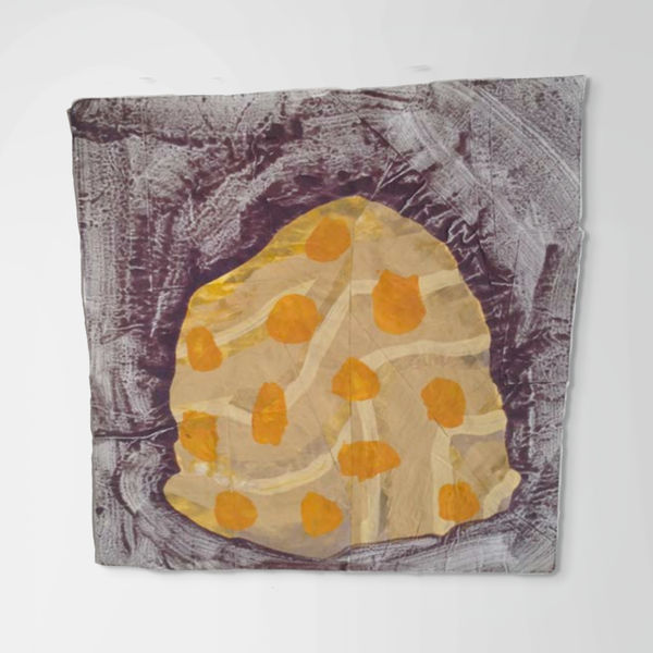 Nancy Murphy Spicer, Disrupted Drawing Small 23, 2015