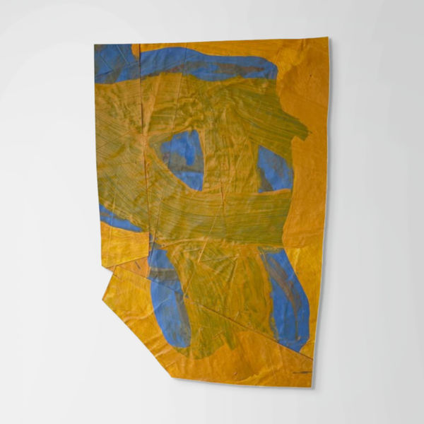 Nancy Murphy Spicer, Disrupted Painting 10, 2017