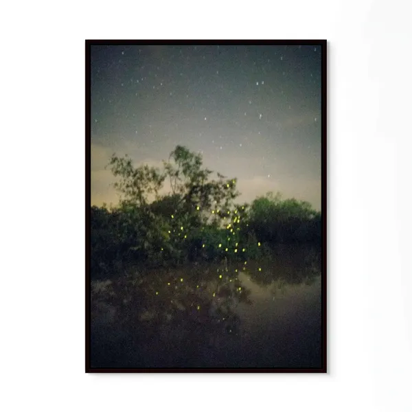Elijah Gowin Fireflies in Tree, Selangor River, Malaysia, 2017