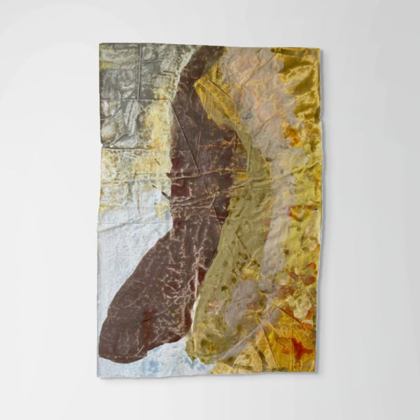 Nancy Murphy Spicer, Disrupted Painting 2, 2016