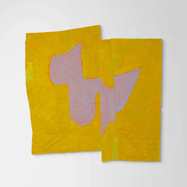 Nancy Murphy Spicer, Disrupted Drawing Large 26, 2015