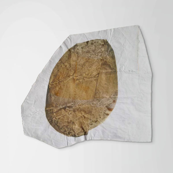 Nancy Murphy Spicer, Disrupted Drawing Small 36, 2015