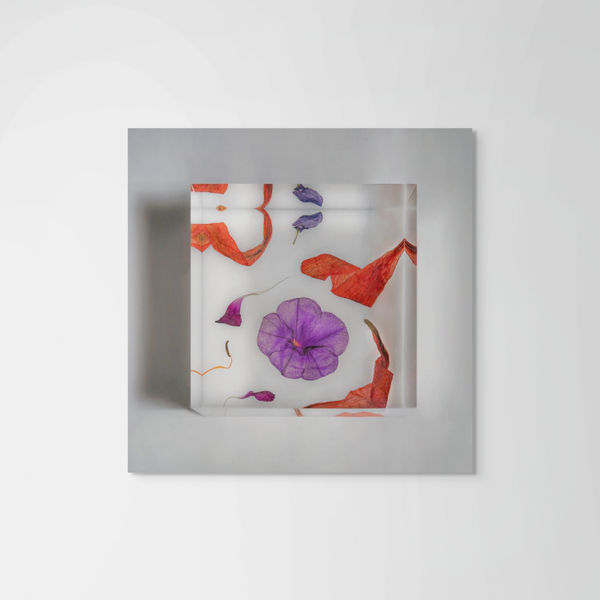 John Grant, Wandering, Cubism Series, 2024