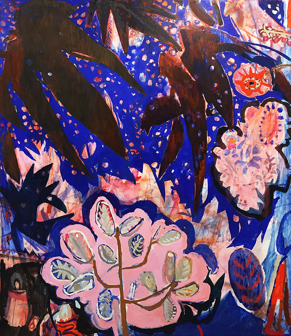 R Aster Syrell Constellated (Stars through Plants), 2019