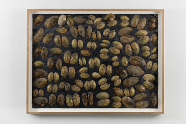 Carel Visser, Untitled, 1994