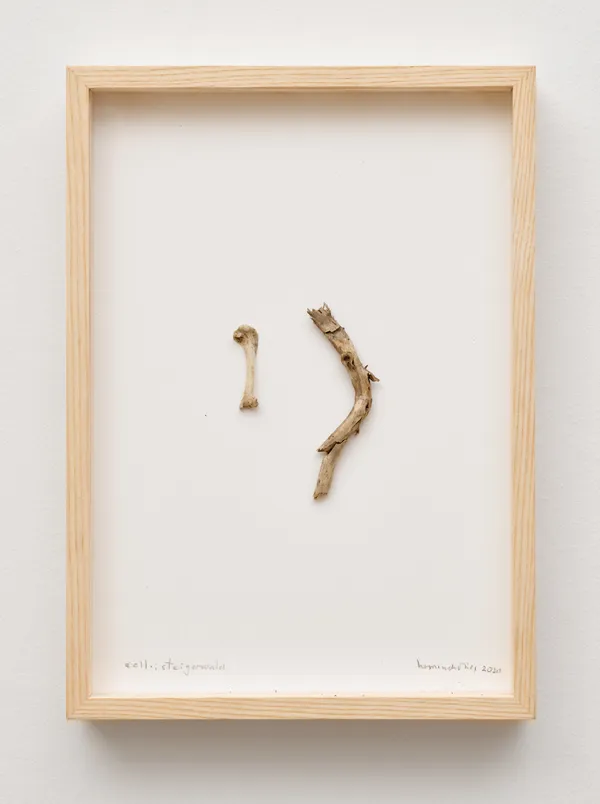 herman de vries, coll.: steigerwald, 2020