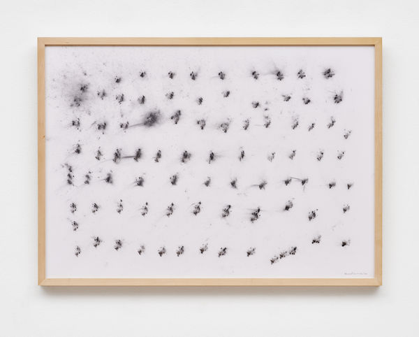 herman de vries, untitled (23-2-2018), 2018