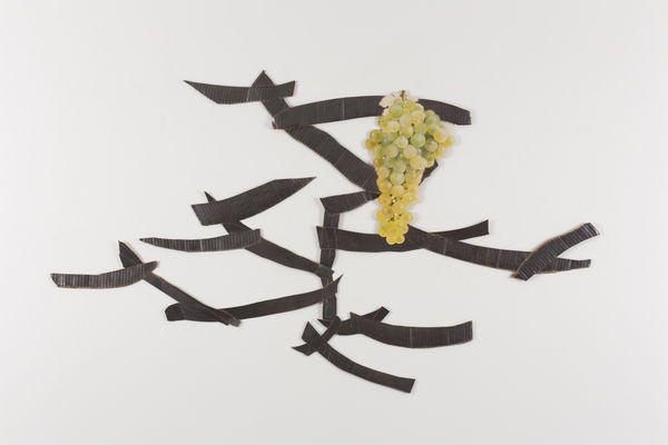 Carel Visser, Untitled, 1999