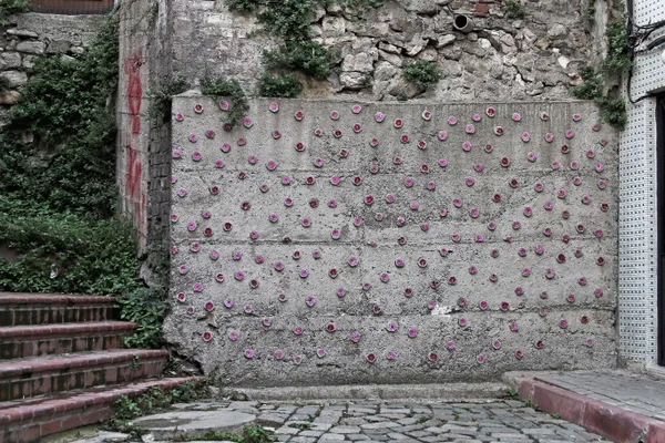 Eda Soylu, Wallpaper, 2014