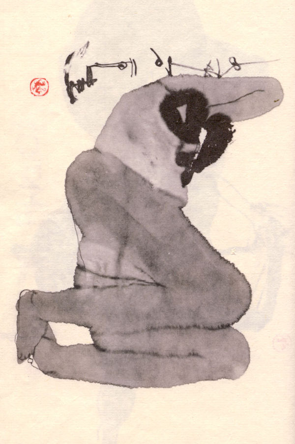 Shi Hu 石虎, Zheng Xin