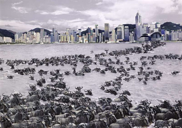 Samantha Li 李楚洳, Metropolis, 2012