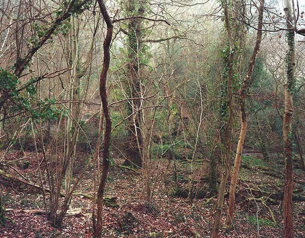 Jem Southam, The Painter's Pool, 18 March 2003 (right), 2003