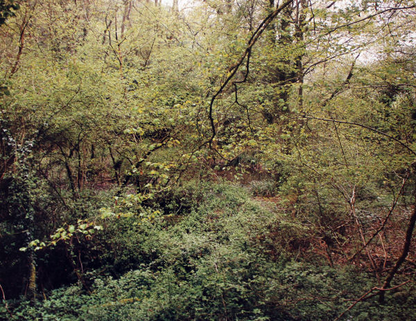 Jem Southam, The Painter's Pool, 01 May 2004, 2004