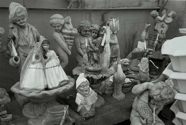 John Blakemore, from Garden Centres, 1980's