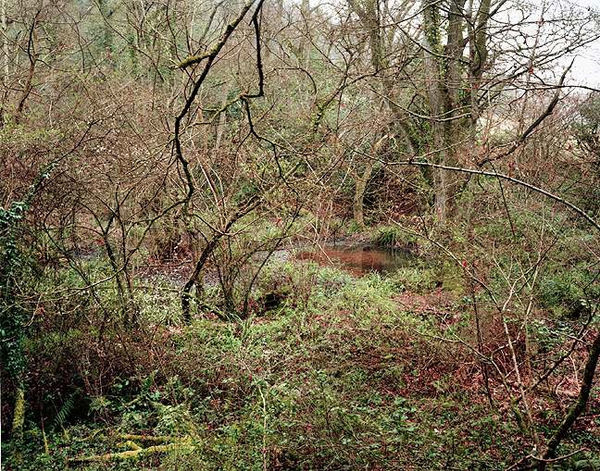 Jem Southam, The Painter's Pool, 28 March 2004, 2004