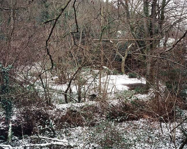 Jem Southam, The Painter's Pool, 09 January 2003, 2003