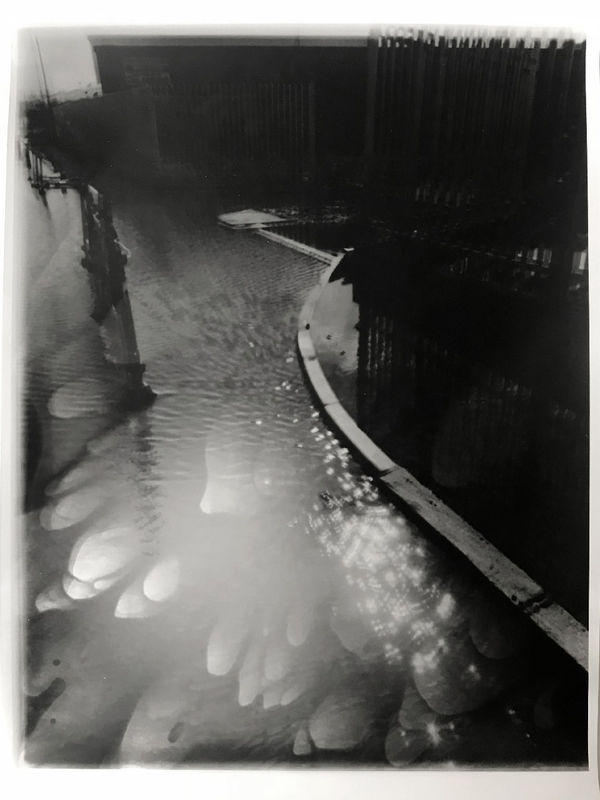 Chris Shaw, Weeds of Wallasey (jungian analysis - fence & puddle), 2007-2012