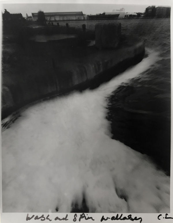 Chris Shaw, Weeds of Wallasey (Wash and Spin), 2007-2012