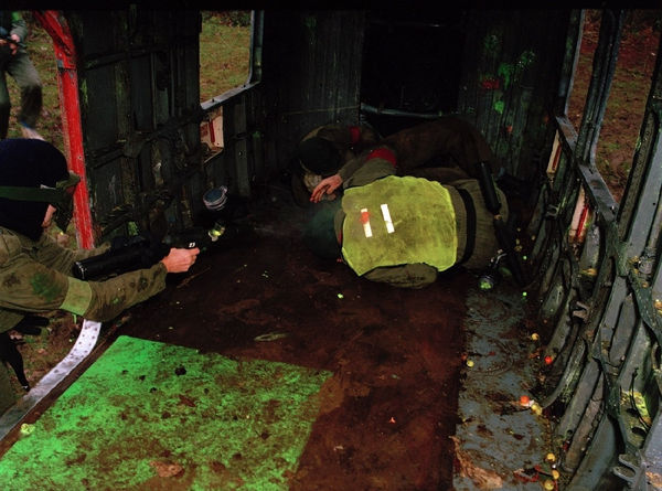 Anna Fox, Friendly Fire, 1989