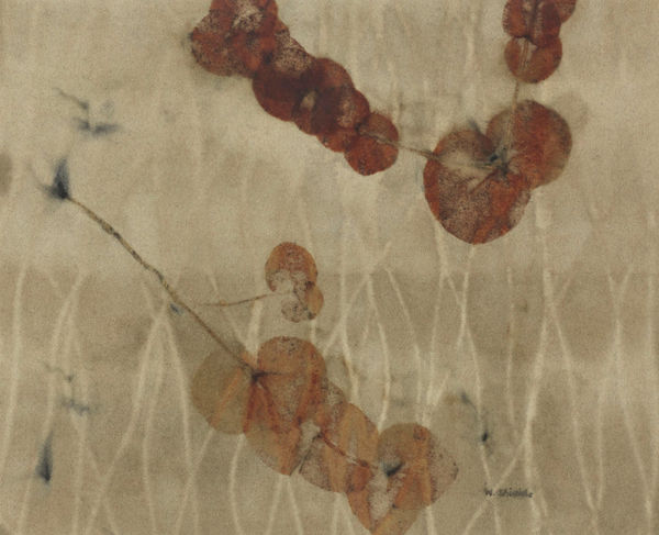 Wendy Shields Untitled