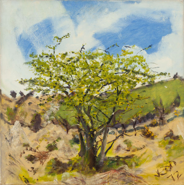 JEAN JONES, Plym Valley Thorn, 1972