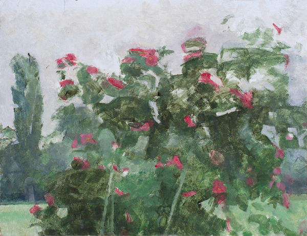 PATRICK GEORGE, Wild Roses