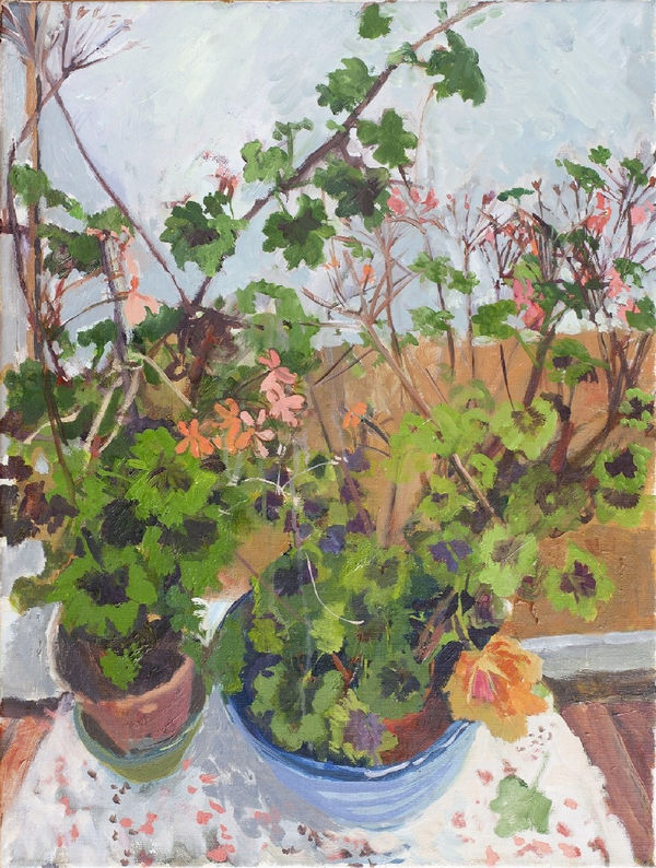 LINDA HEATHCOAT-AMORY, The Boar, 2016