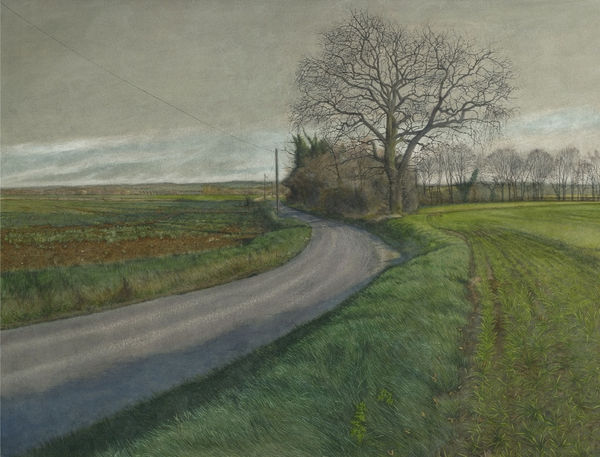 WLADYSLAW MIRECKI, Lane Road, Wakes Colne, 2008