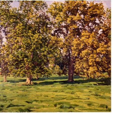 PATRICK SYMONS, Ash trees at Melbury Bubb