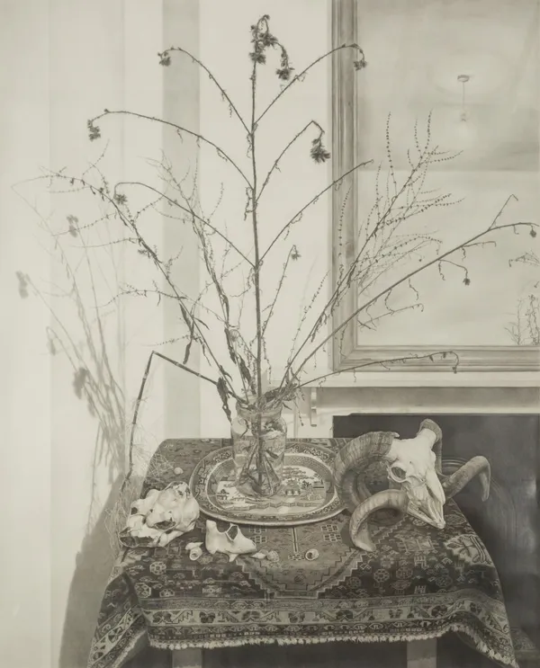 EDMUND CHAMBERLAIN, Still Life with Skull and Plants