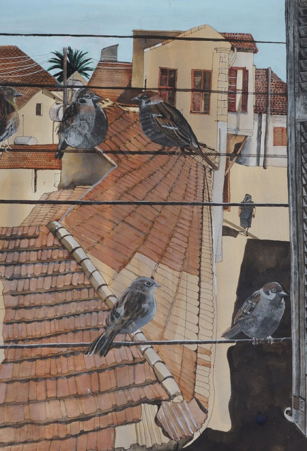 SOPHIE CHARALAMBOUS, Sparrows, Morning, Mehmet Ali Street, 2013