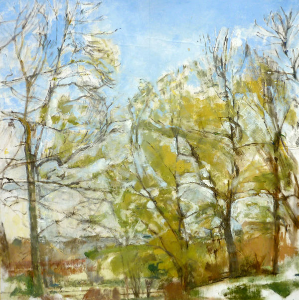 PATRICK GEORGE, Ash Trees around the Pond