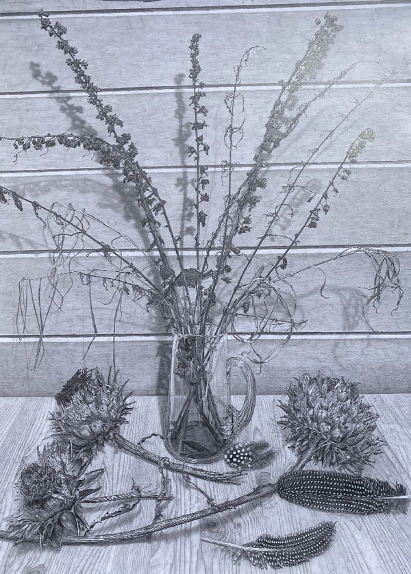 EDMUND CHAMBERLAIN, Still Life with Thistle Heads, 2022