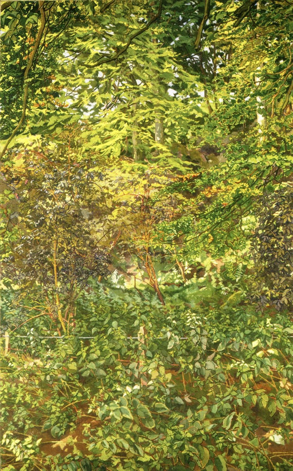 PATRICK SYMONS, Beech, elder and nettles