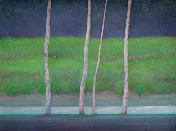 THOMAS LAMB, Birch Trees beside River