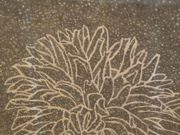 EDWARD MIDDLEDITCH, Flower and Snow, 1970-1