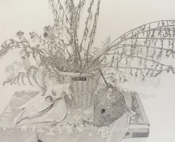 EDMUND CHAMBERLAIN, Still Life with Bracken, Skull and Wasp's Nest, 2006-07