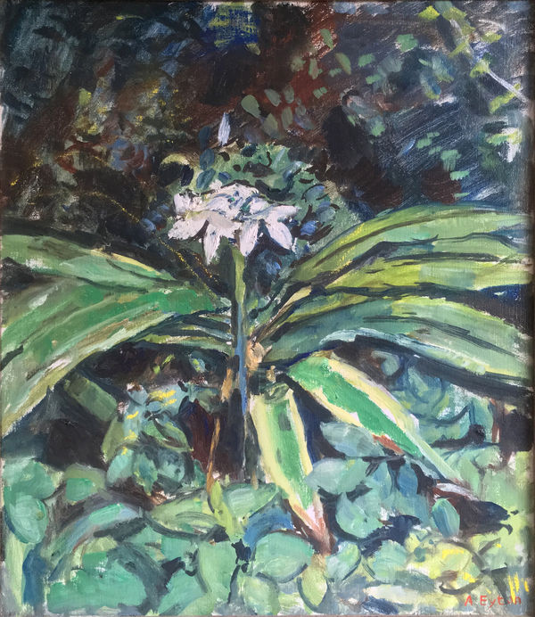 ANTHONY EYTON, Crinum, 1990
