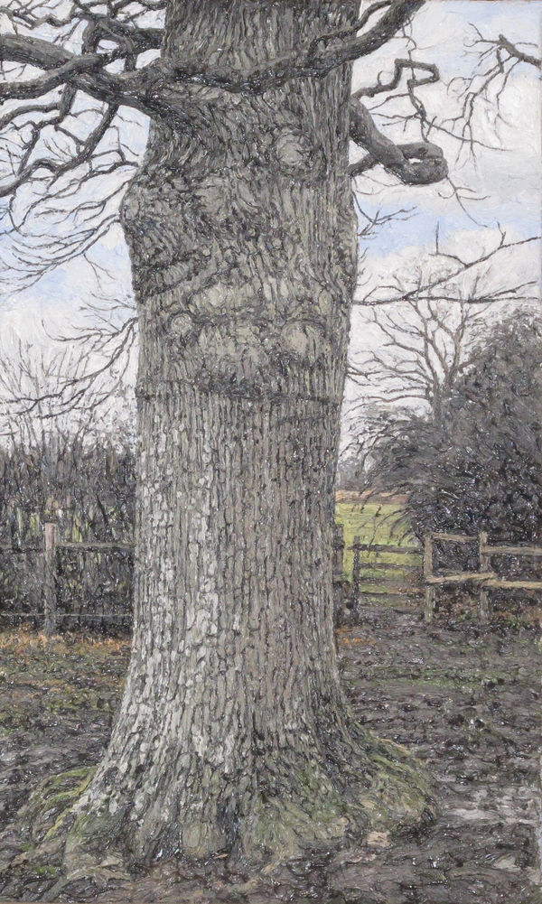EDMUND CHAMBERLAIN, Oak Trunk