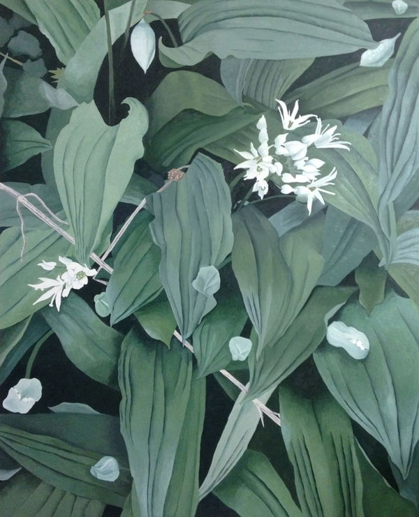 ENDELLION LYCETT GREEN, Renewal