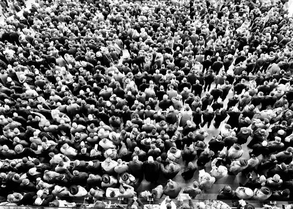 James Lindsay, Cheltenham Gold Cup. England