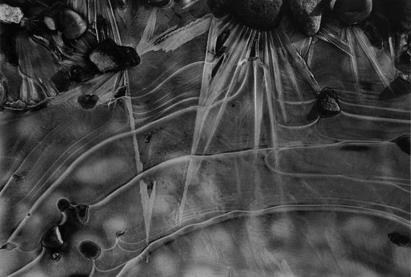 Starburst Pond, West Windsor Campus, Mercer Community College, NJ