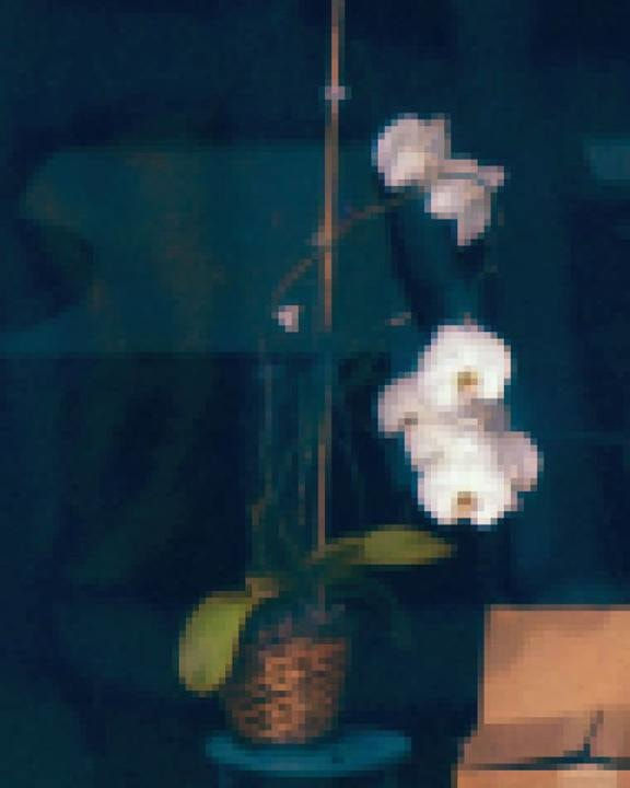 Transparent City Detail #31