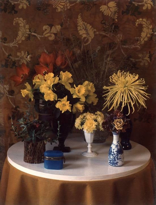 Marie Cosindas, Floral, c. 1962-1963
