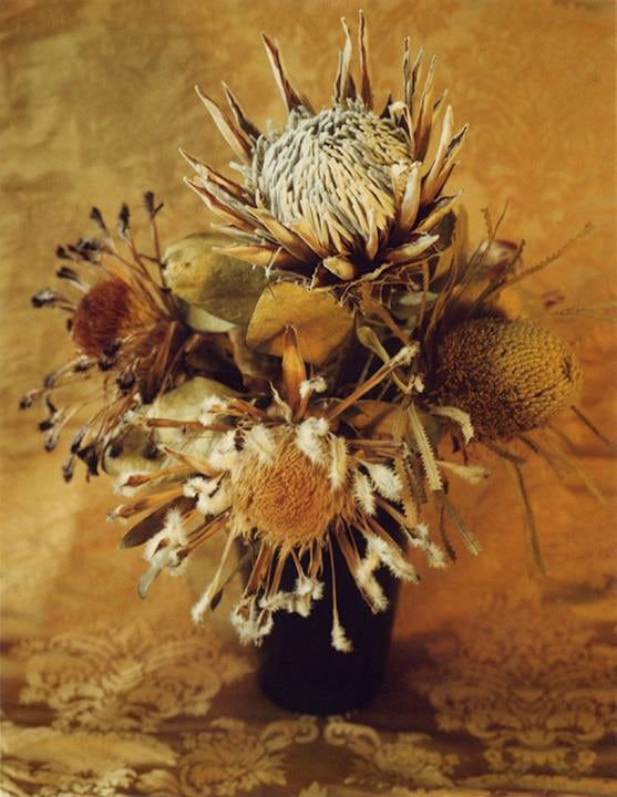 Marie Cosindas, Floral, c. 1962-1963