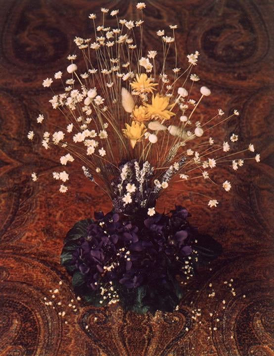 Marie Cosindas, Mrs. Jack's Floral, 1966