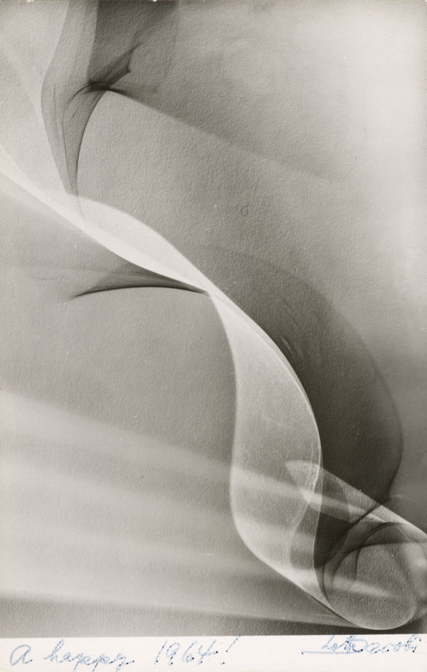 Untitled (from the series: Photogenics)