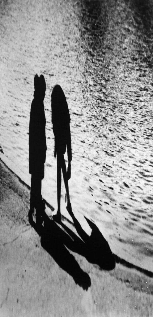 Turmoil, Central Park