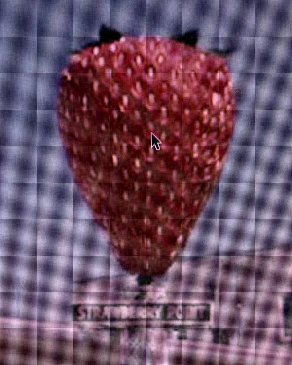 A Series of Unfortunate Events #16